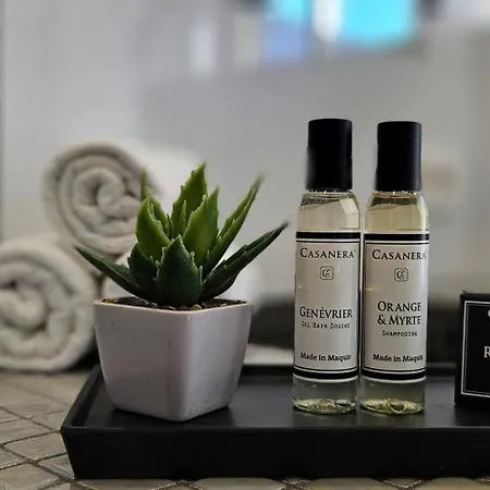 De Standing Les Amandiers, Vue & Piscine Vila *